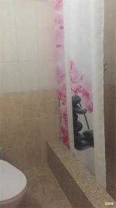 Регилия - 154