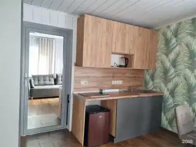 Алиса - 30