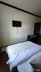 Art House - 27