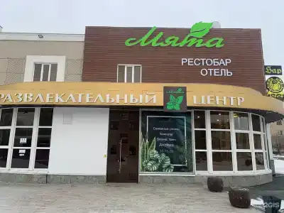 Мята - 15