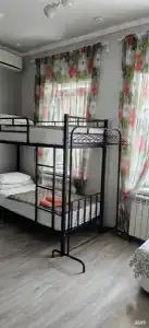 Свои - 245