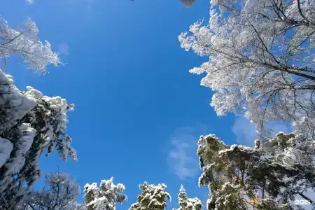 Rentalspb на Петровском Озере Ж/Д Петяярви - 31