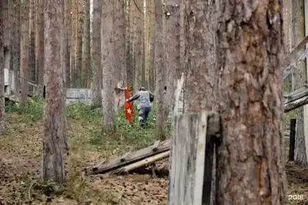 Иволга - 15
