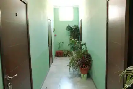 Милар - 193