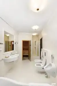 Old Estate Hotel & SPA - 242