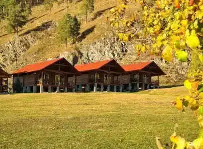 Горный источник - 50