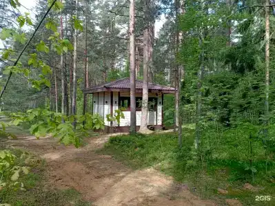 Силандэ - 27