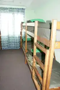 Фикус - 6
