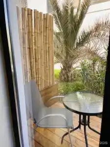 Little Palm - 43