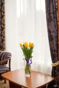 Фрегат - 22
