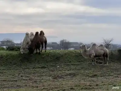Беной Тревел Озеро - 10