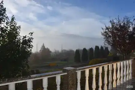 Вишневая поляна - 37