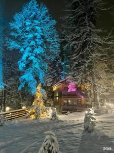 Arkhyz Family Club - 44