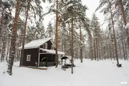 Северное сияние - 174