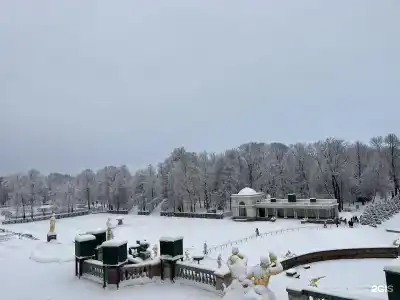 Вилерона - 23