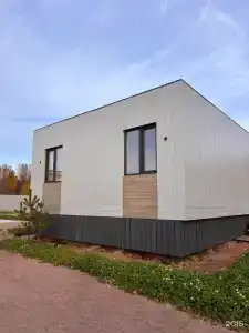 Клевер - 13