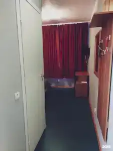 Снегири - 38