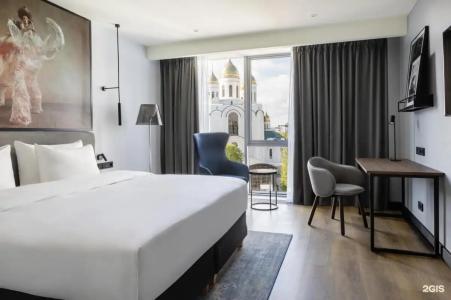 Radisson Blu Hotel - 117