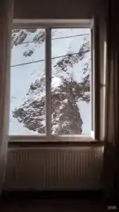 Кафе и отель FreeRide - 7