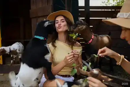 Барские поля - 262