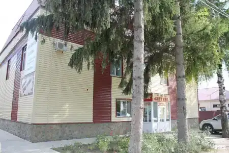 Спутник - 70