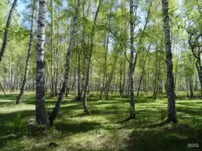 Колобок - 25