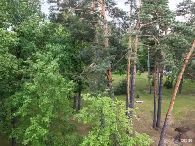 Солотча - 30