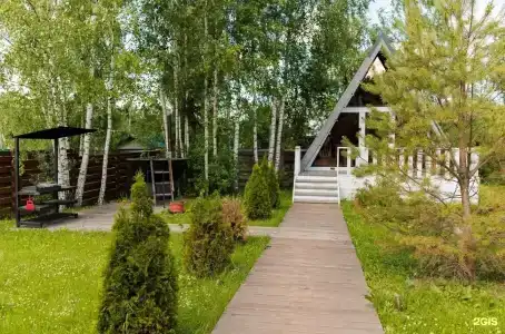 Берёзовая роща - 272
