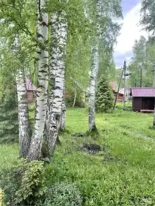 Лесная сказка - 58