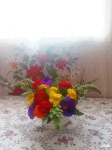 Добрый Дом - 14