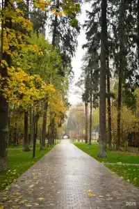 Рябиновый берег - 1