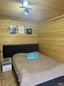 Облепиха - 20