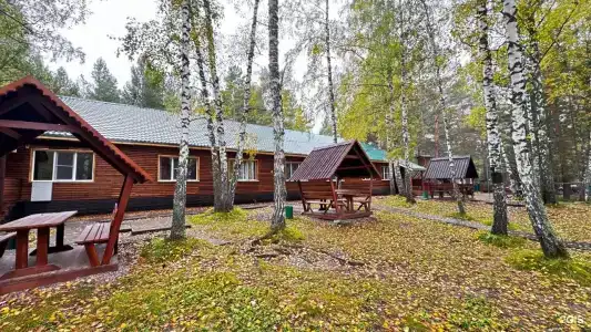 Белая сова - 232