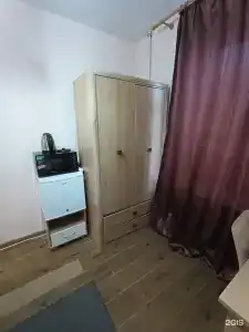 Эвкалипт - 35