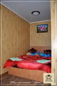 Тортуга - 80