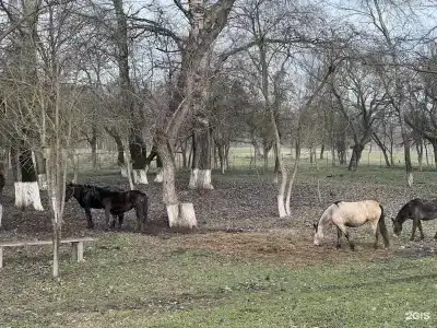 Беной Тревел Озеро - 17