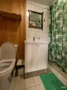 Солнечный свет - 491