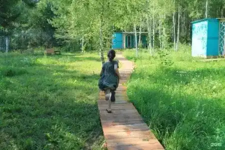 Лесной сон - 52