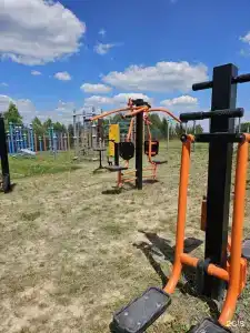 Рыжий лис - 37