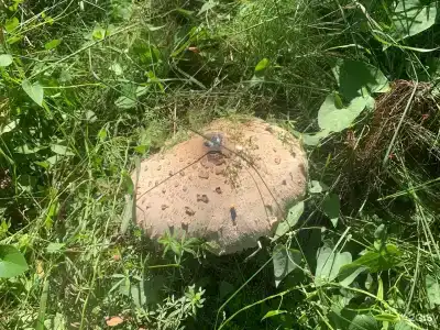 Круиз Вилладж - 134