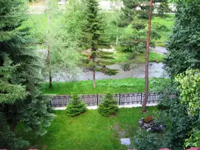 Старые друзья - 2