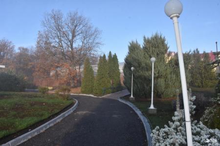 Вишневая поляна - 67