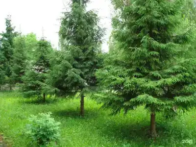 Аэропорт Плаза - 14
