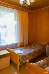 Спутник - 99