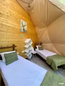 Клевер - 218