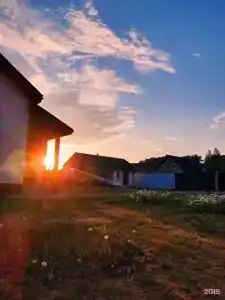 Рэми - 19