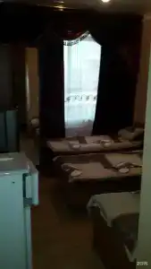 Эльмира - 23