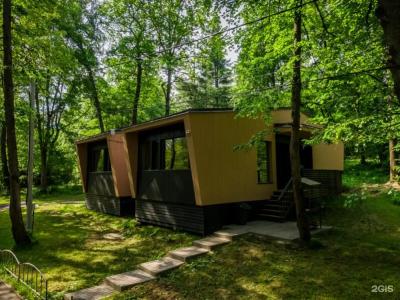 Серебряный век - 100