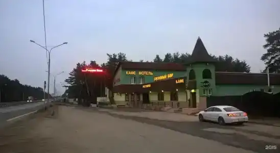 Сосновый бор - 3
