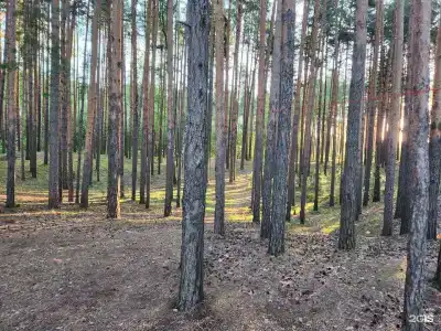 Свой берег - 23